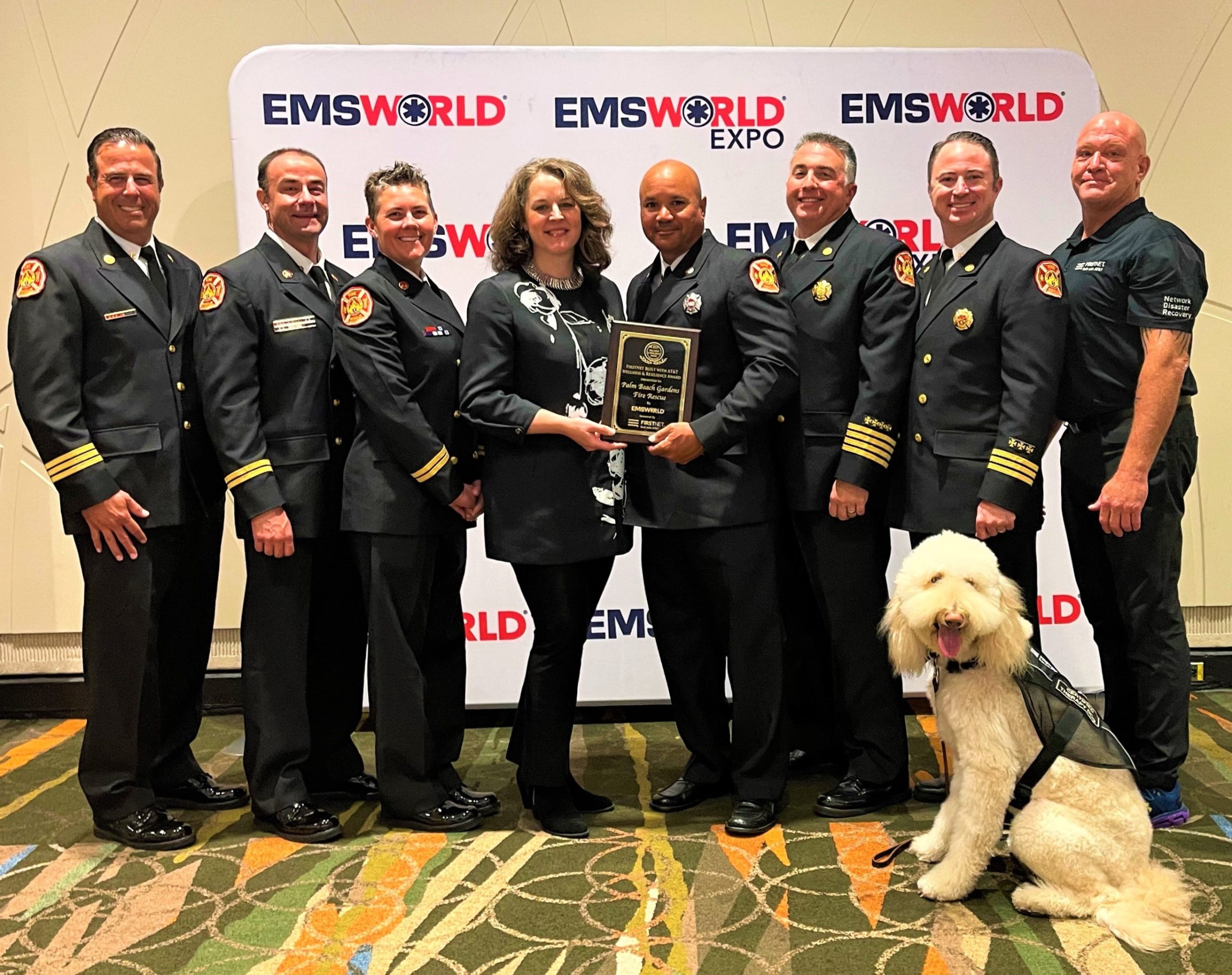 EMS World Wellness and Resilience Award